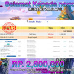 BUKTI JACKPOT SLOT WILD APE  TERPERCAYA DI INDONESIA TGL 26-08-2024