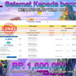 BUKTI JACKPOT SLOT WILD APE TERPERCAYA DI INDONESIA TGL 27-08-2024